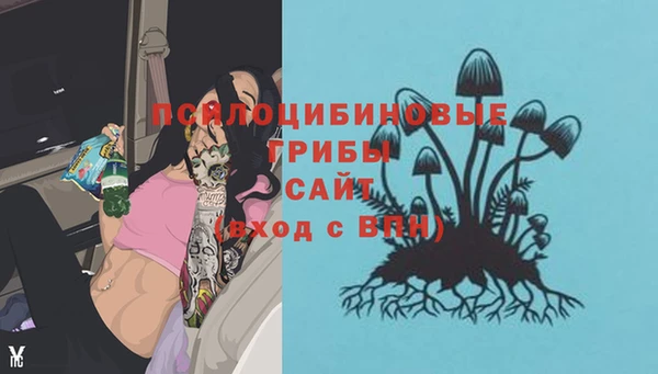 ешки Верхний Тагил