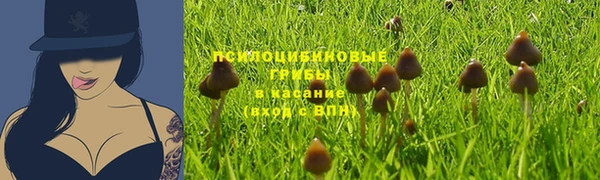 эйфоретик Верея