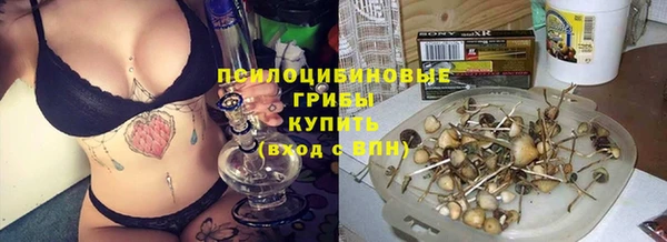 эйфоретик Верея