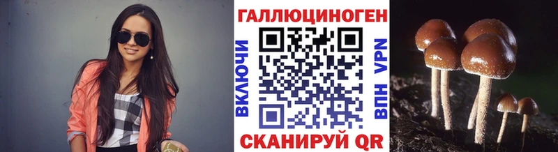 Галлюциногенные грибы мицелий  Катав-Ивановск 